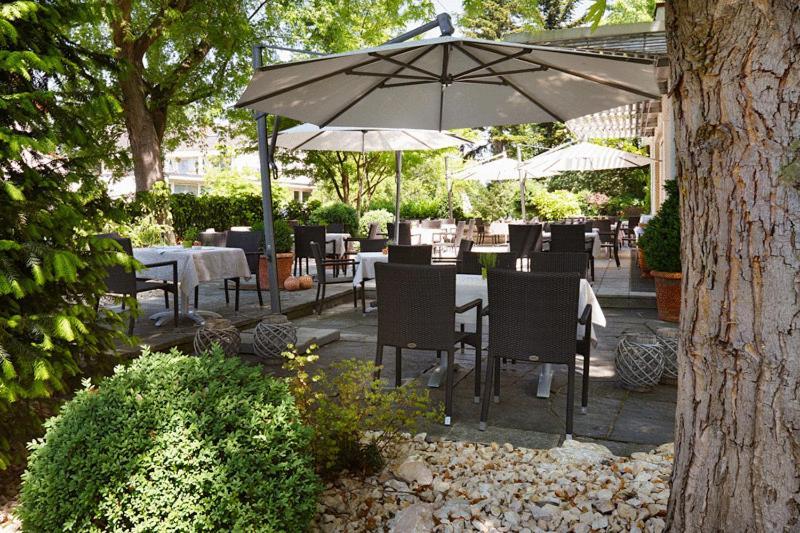 Kurhotel Markushof Bad Bellingen Exteriér fotografie